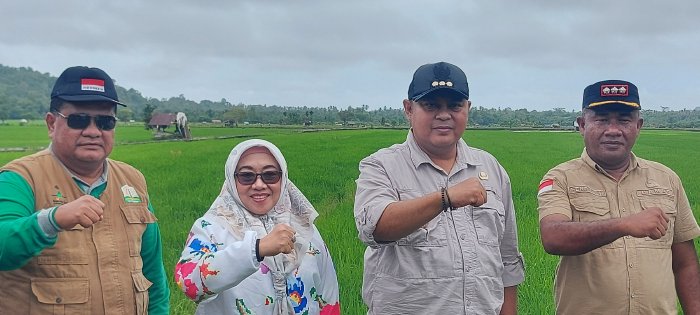 Pj. Bupati Simeulue Tinjau Pengolahan Pertanian di Tiga Kecamatan