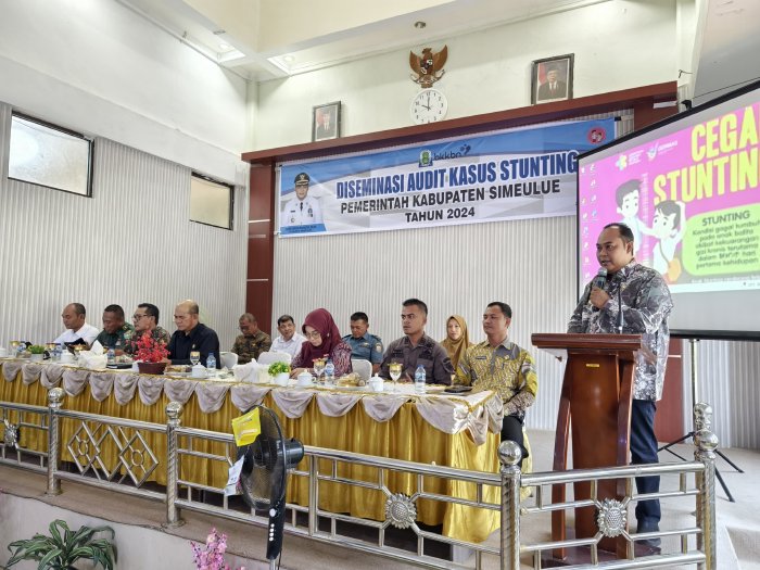 Pj Bupati Simeulue Buka Kegiatan Diseminasi Audit Kasus Stunting