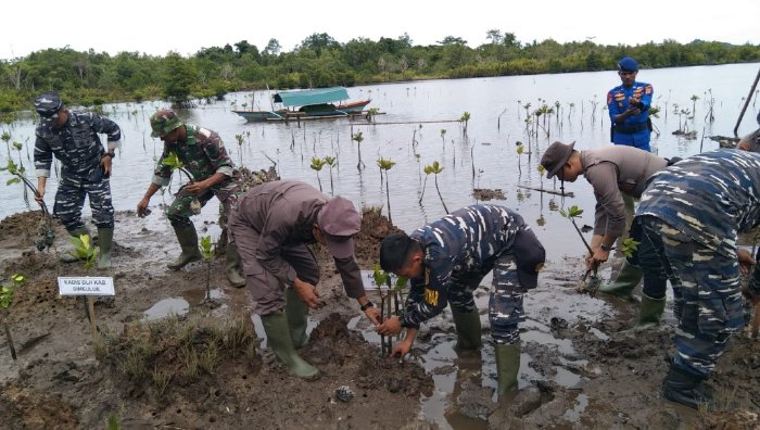 Dalam Rangka Bakti TNI AL 2024, Lanal Simeulue Lakukan Penanaman Mangrove Bersama di Linggi