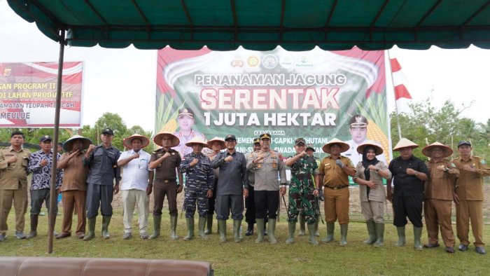 Program Nasional Penanaman 1 Juta Hektar: Jagung Forkopimda Simeulue Siap Dukung Ketahanan Pangan