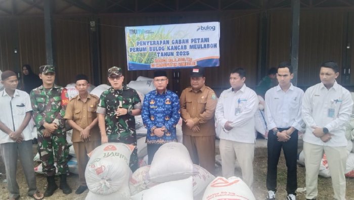 Pemkab Simeulue Gandeng Bulog Meulaboh Serap Gabah Petani, Dukung Ketahanan Pangan